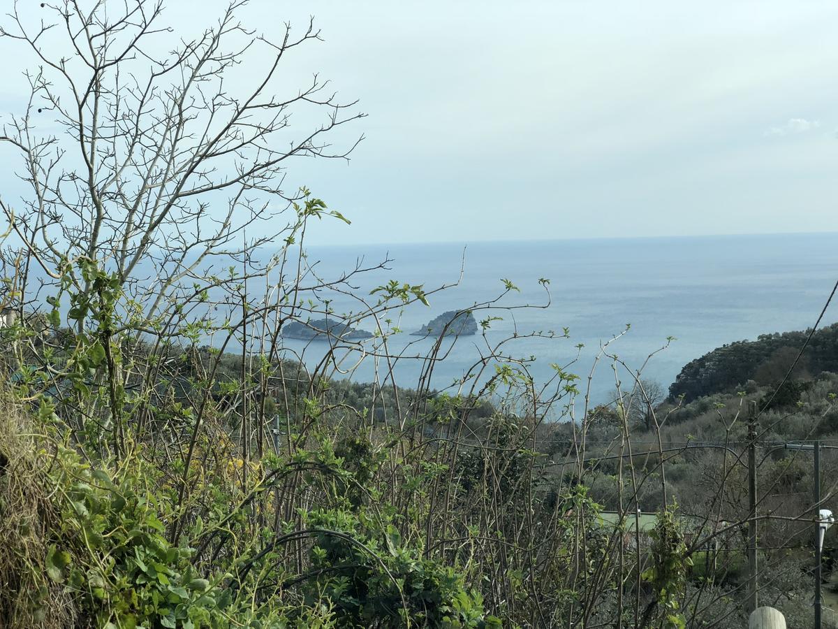 Casa Vacanze Villa San Francesco Sant'Angelo (Isola d'Ischia) Exterior foto